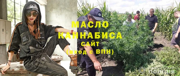 молекула духа Арсеньев