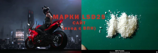 молекула духа Арсеньев