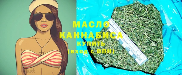 молекула духа Арсеньев