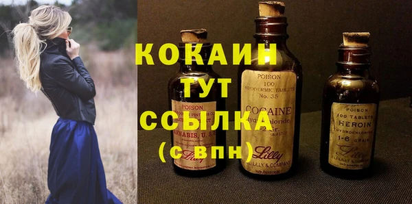 гашик Вяземский