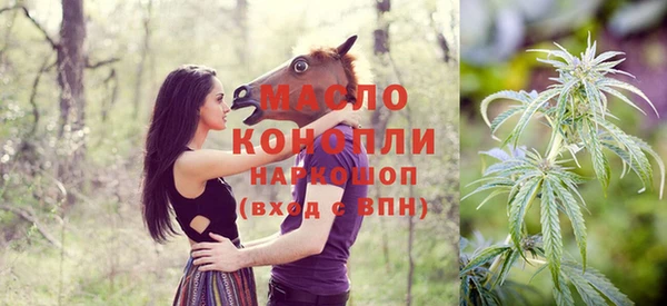 молекула духа Арсеньев