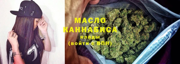 молекула духа Арсеньев