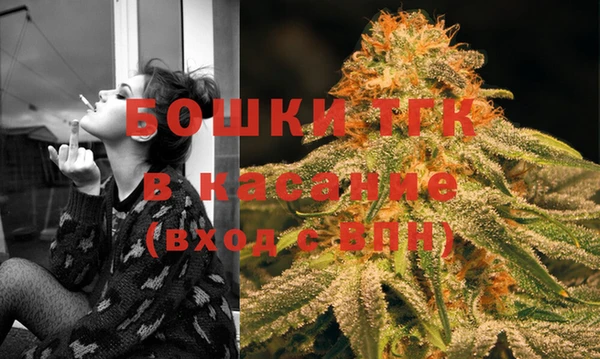 молекула духа Арсеньев